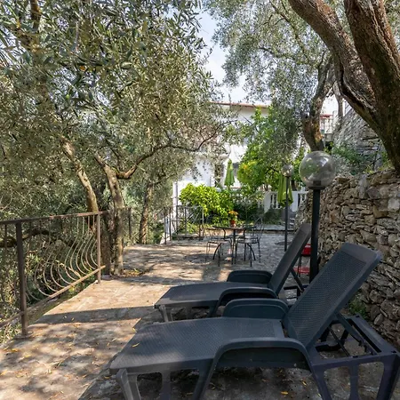 Ulivo By Interhome Gazzelli