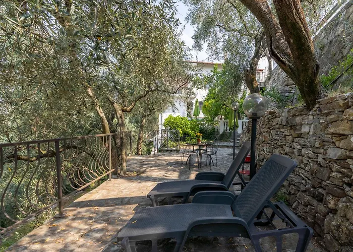 Ulivo By Interhome Gazzelli
